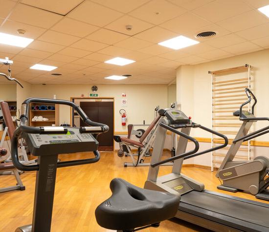PALESTRA Hotel Raffaello Milano PALESTRA Hotel Raffaello Milano